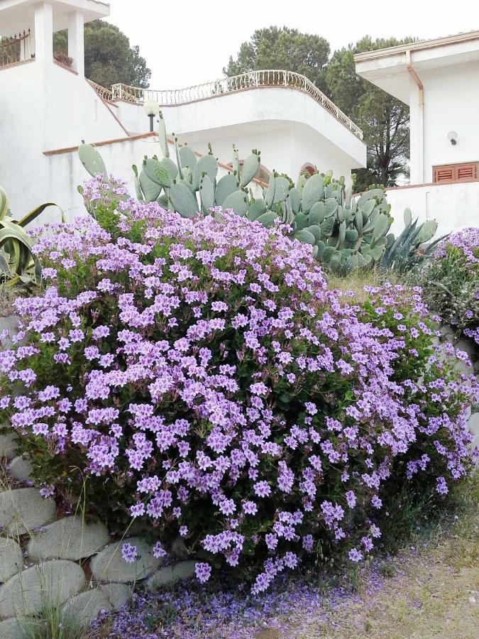 Villa del Capo Capo Vaticano Exterior foto